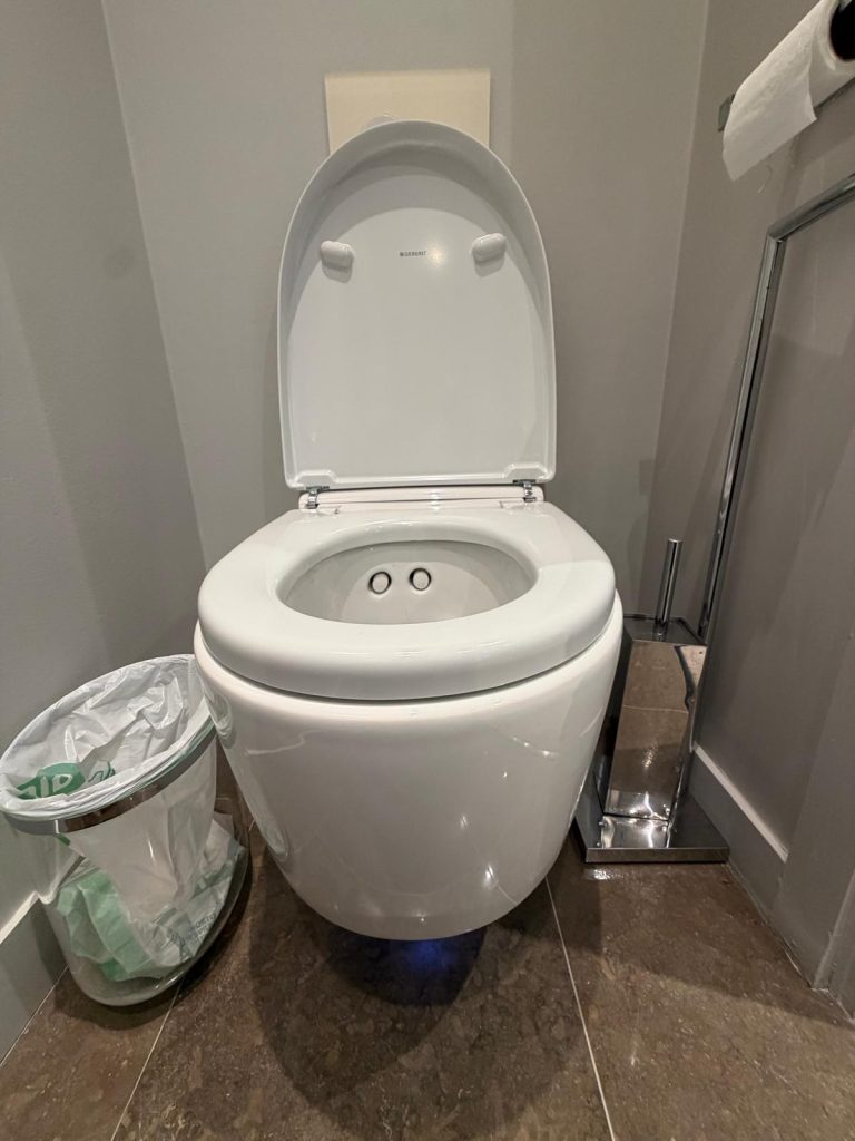 Pose du chantier WC lavant dans un bien d'exception à Paris
