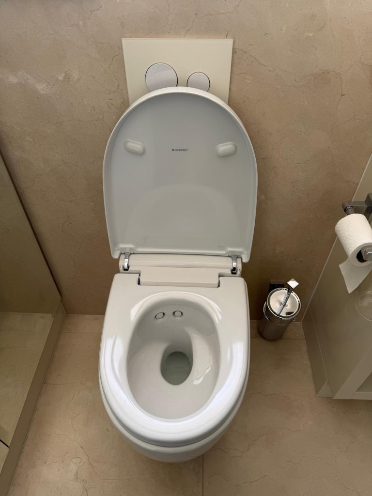 Pose du chantier WC lavant dans un bien d'exception à Paris